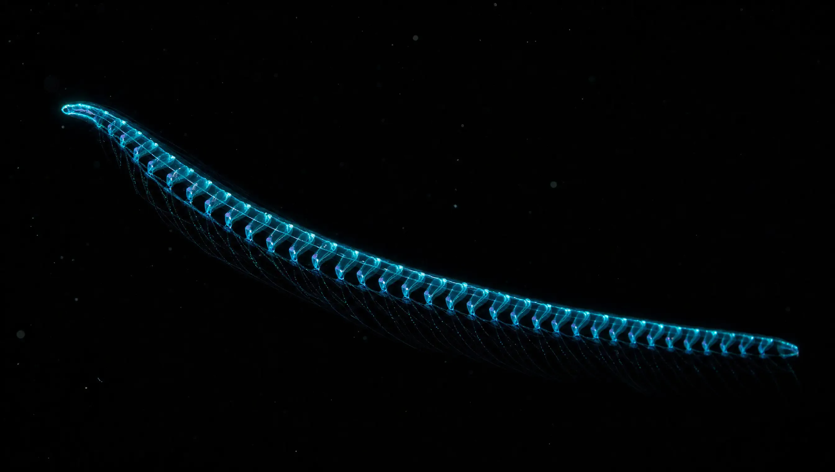 A long chain siphonophore glowing electric teal, like a living string of lanterns in black water